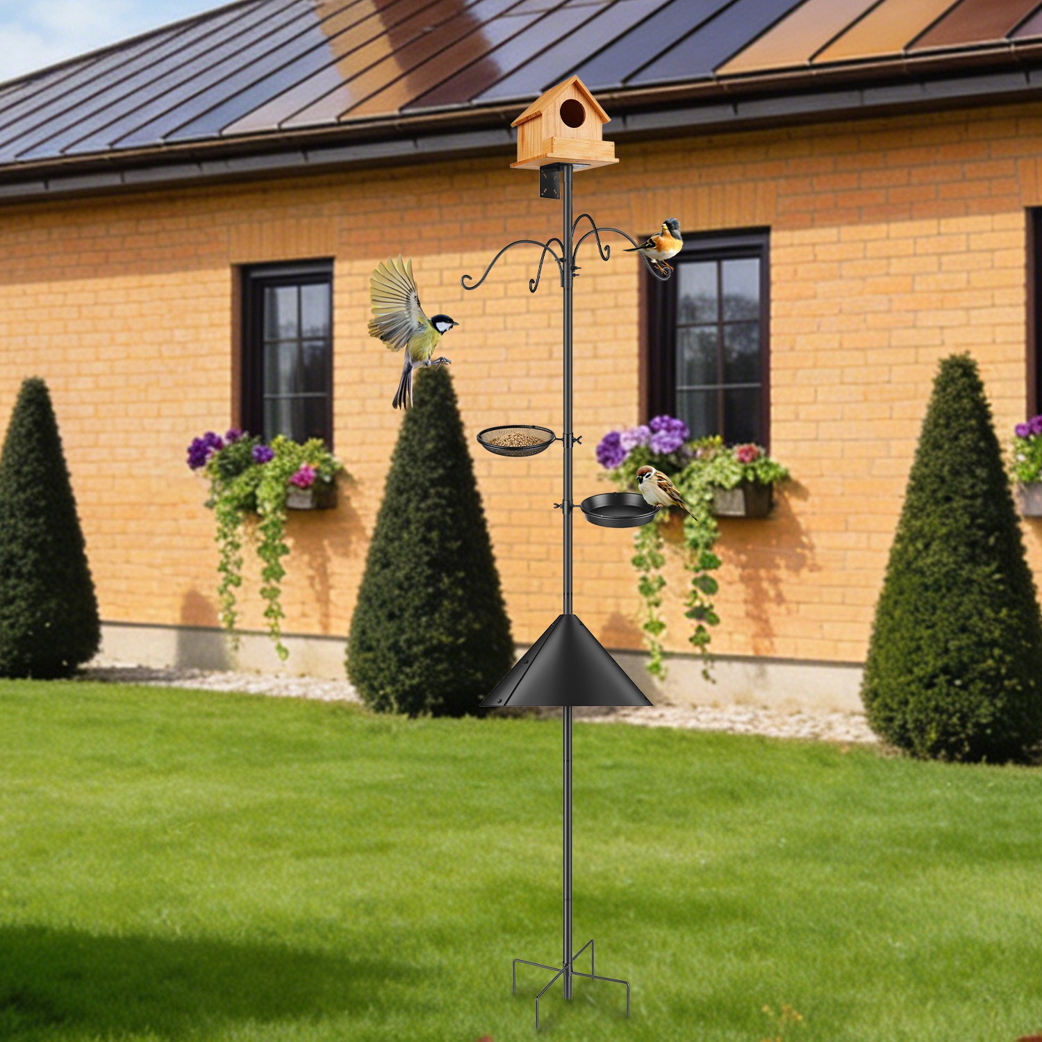 advert image