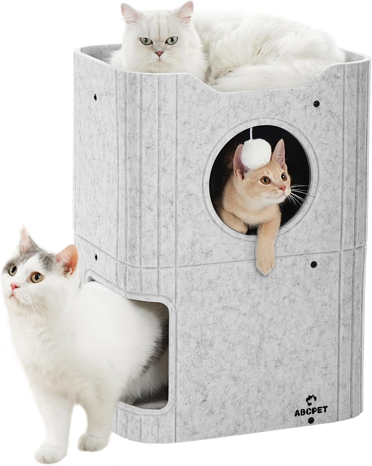 advert image
