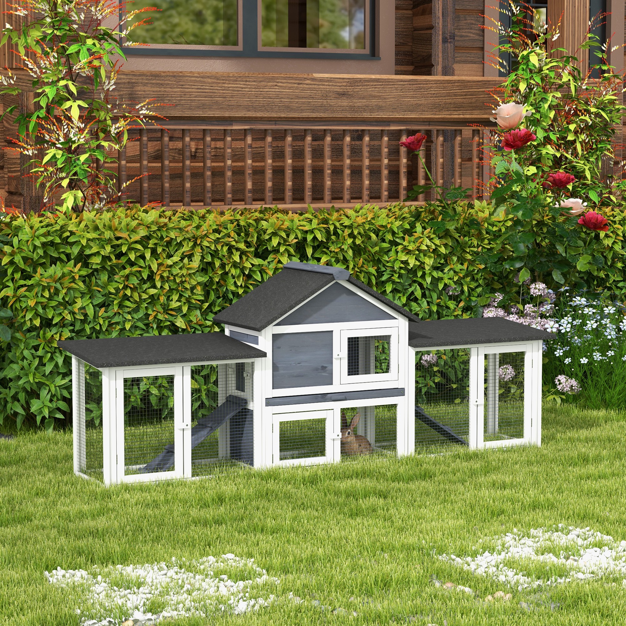 advert image