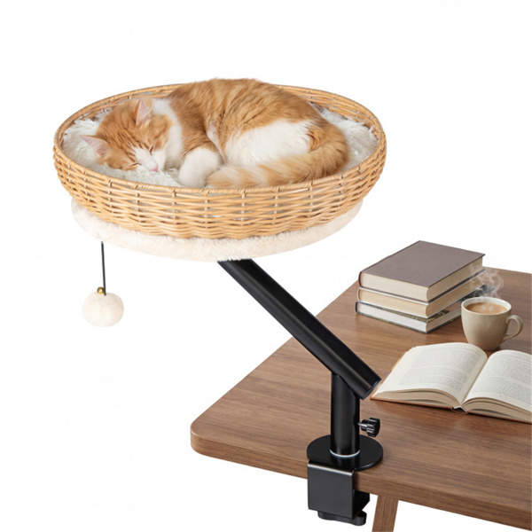 advert image