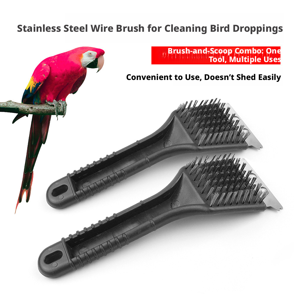 advert image