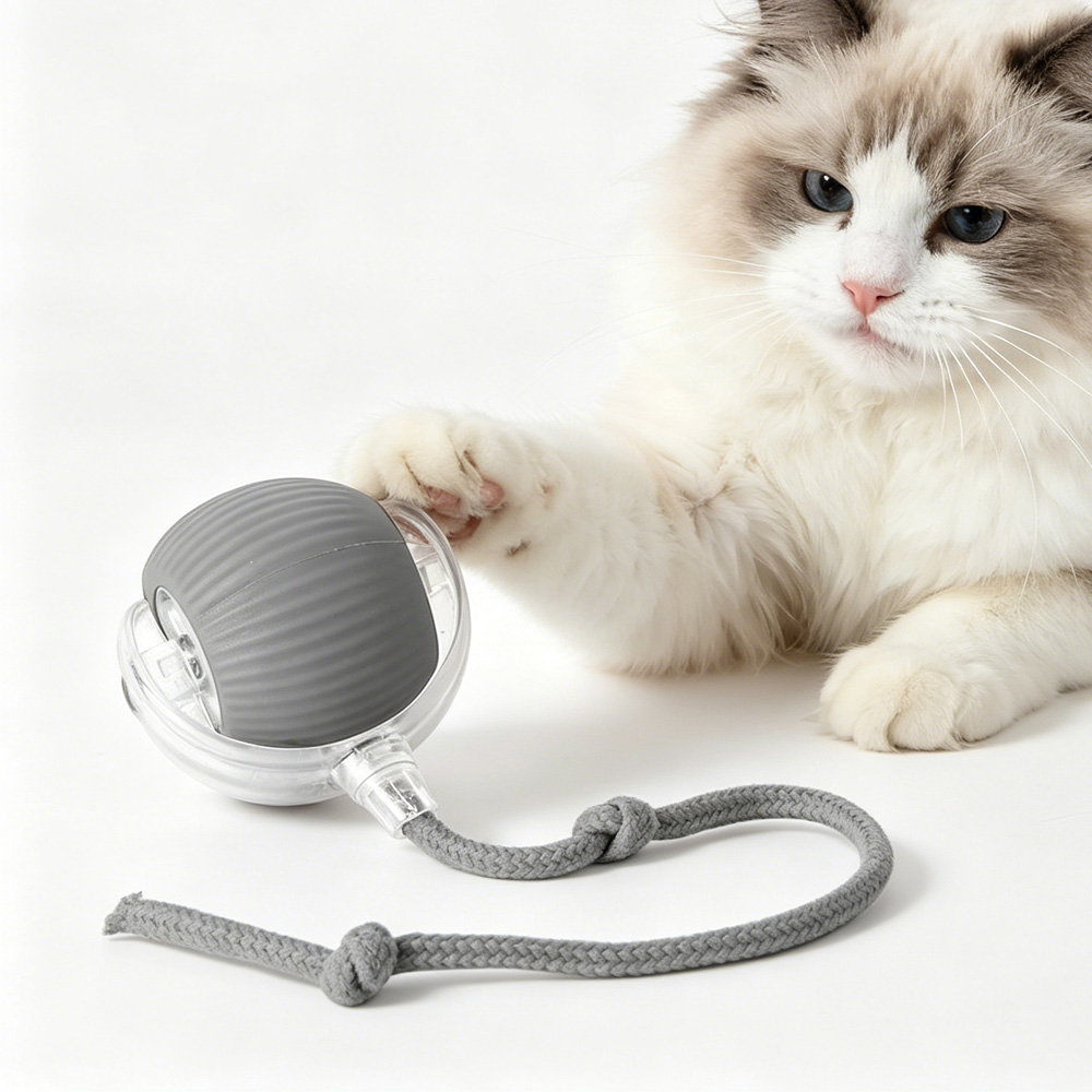 advert image