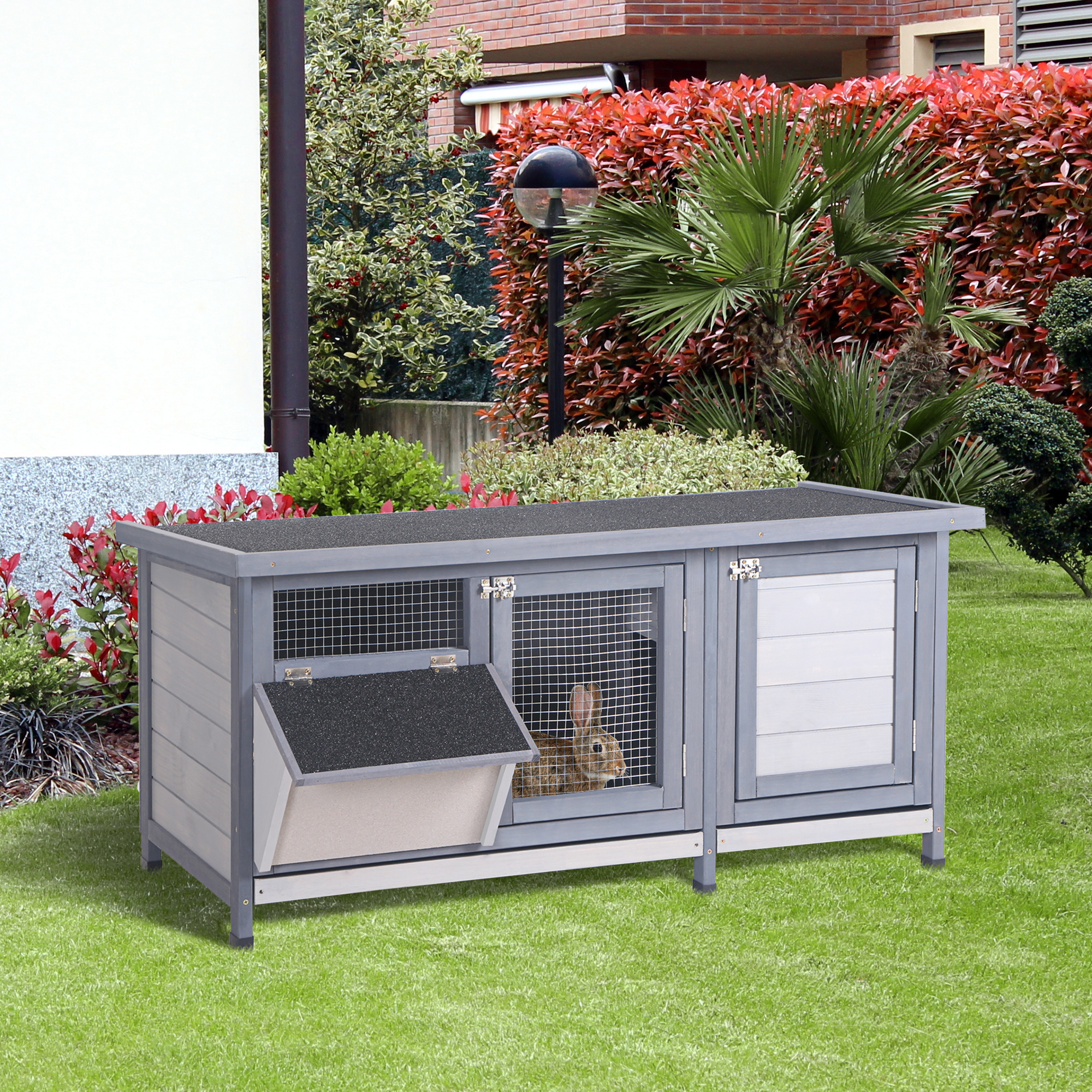 advert image