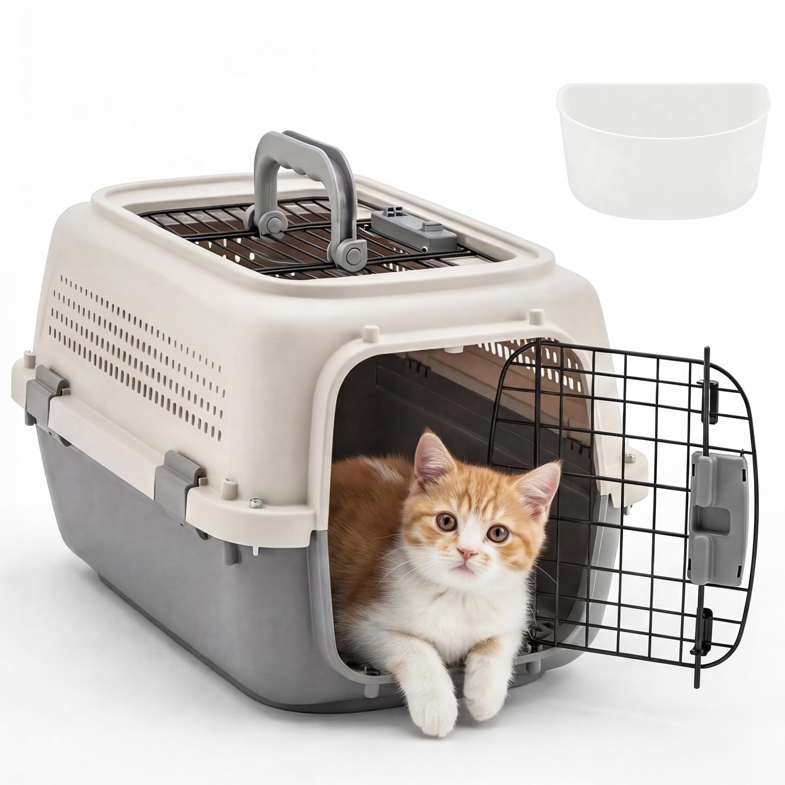 advert image