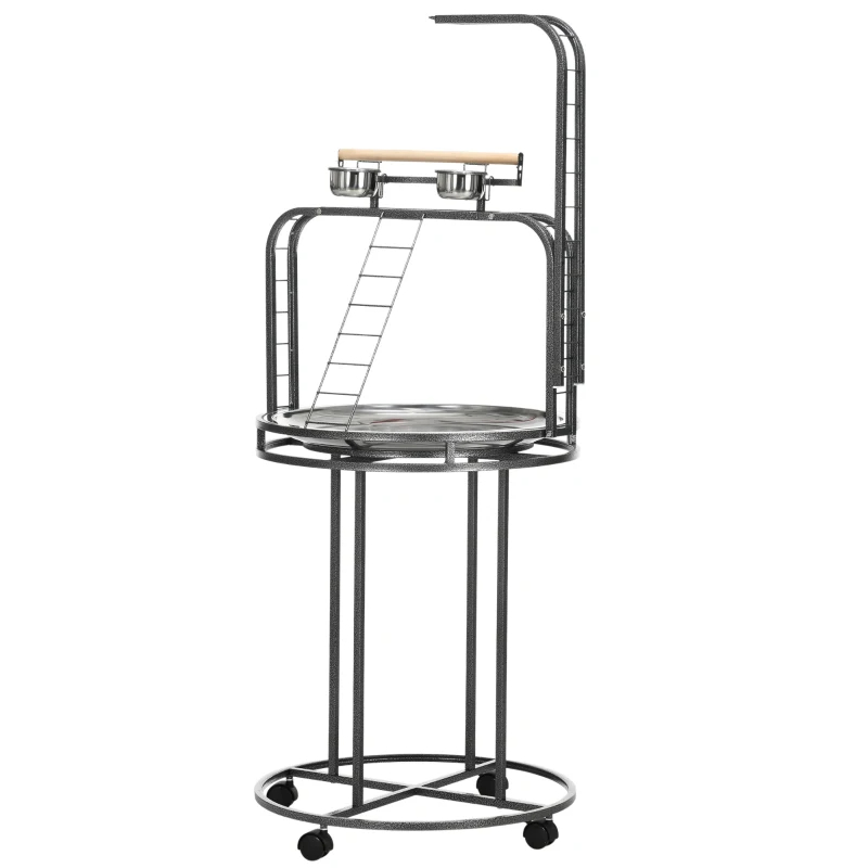 advert image