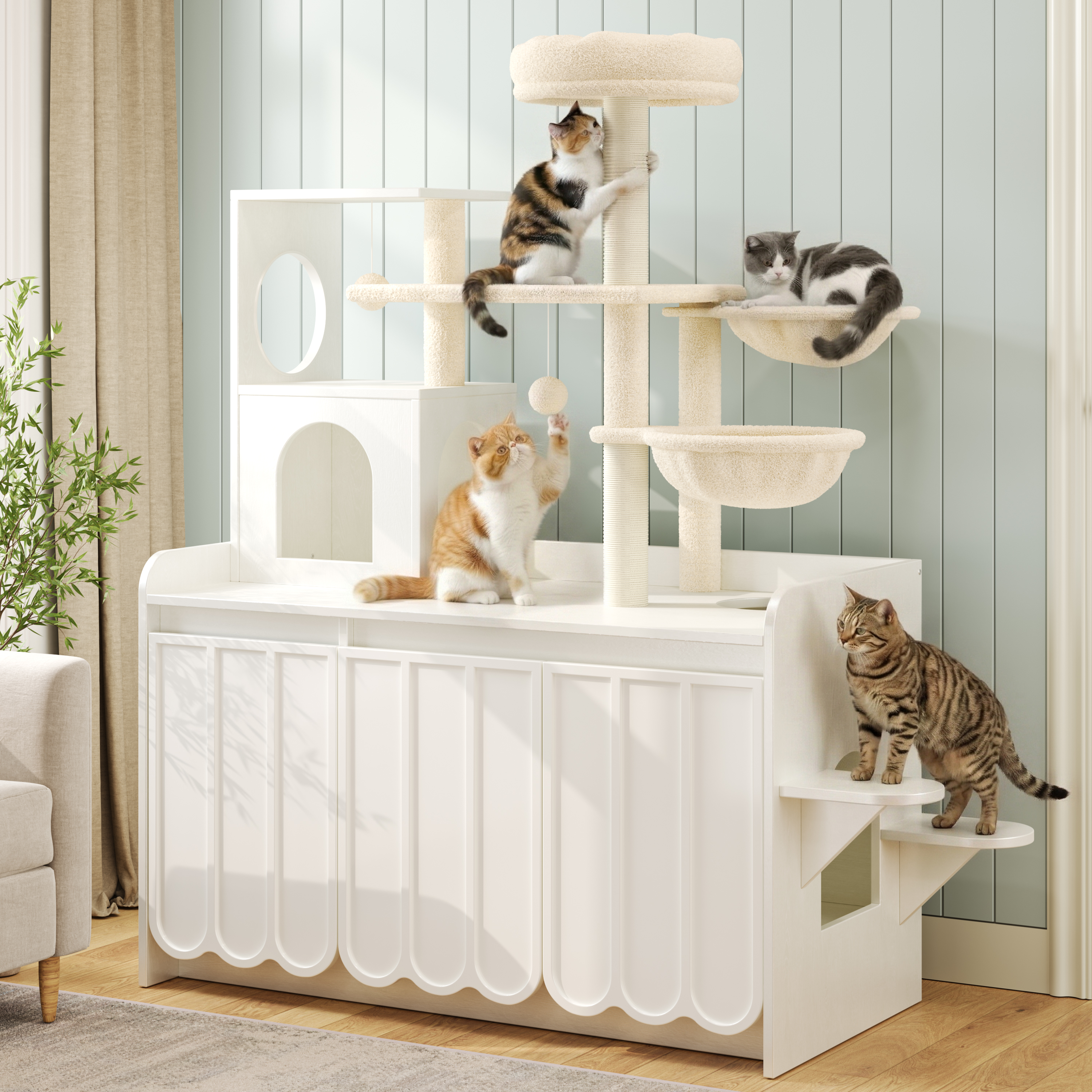 advert image