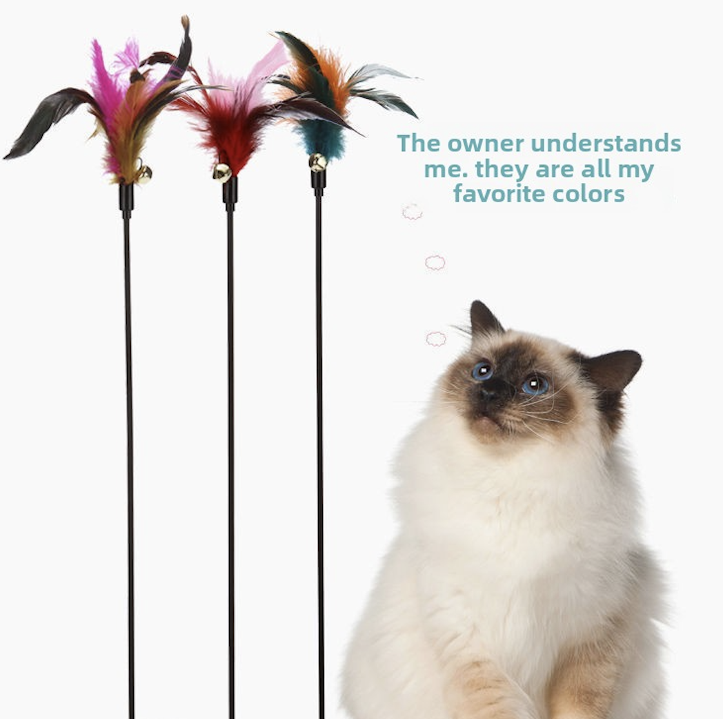 advert image