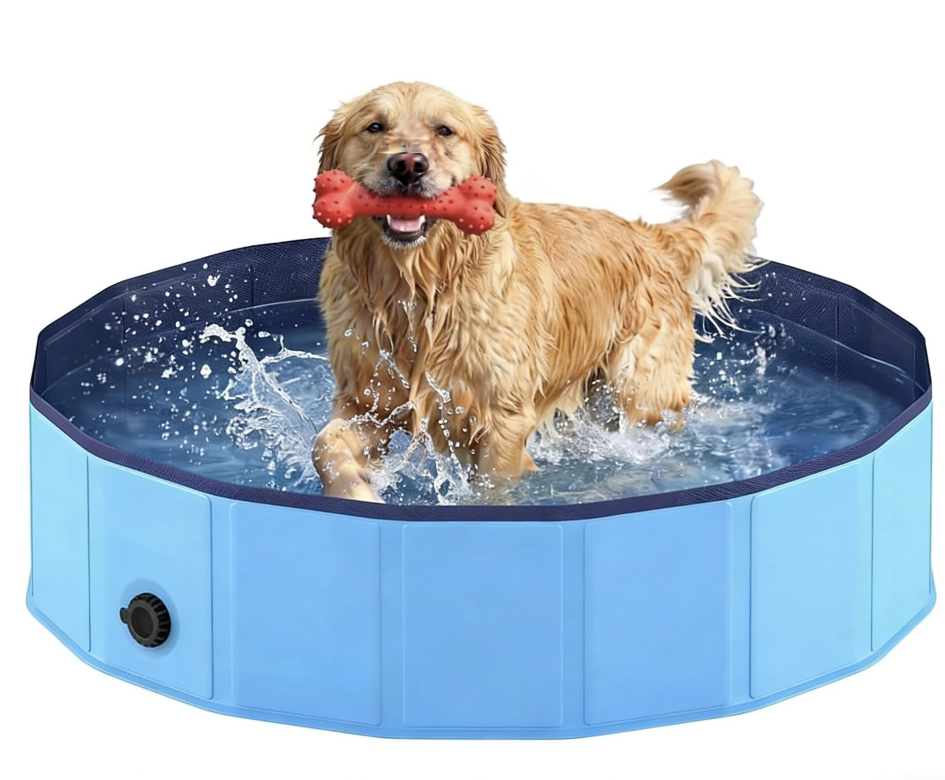 advert image