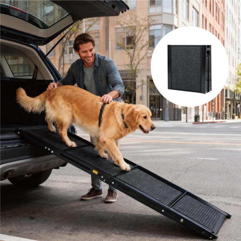 advert image