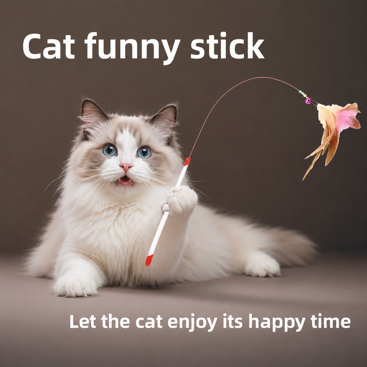 advert image