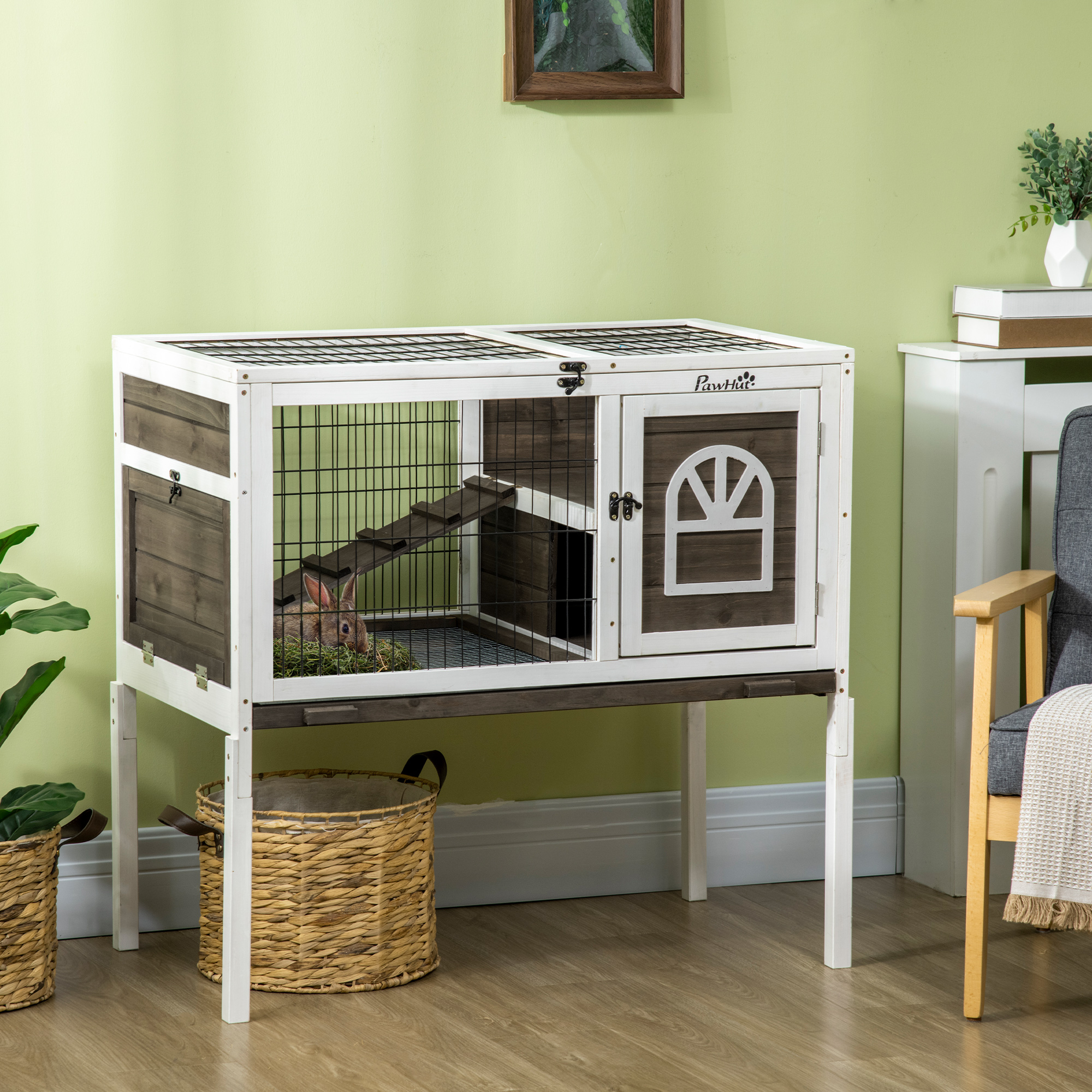 advert image