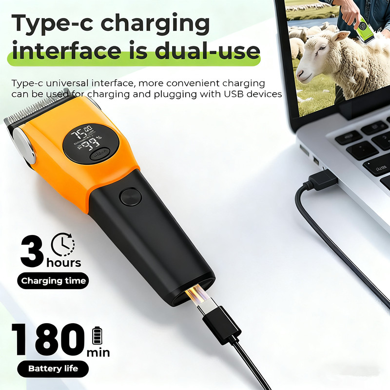 advert image