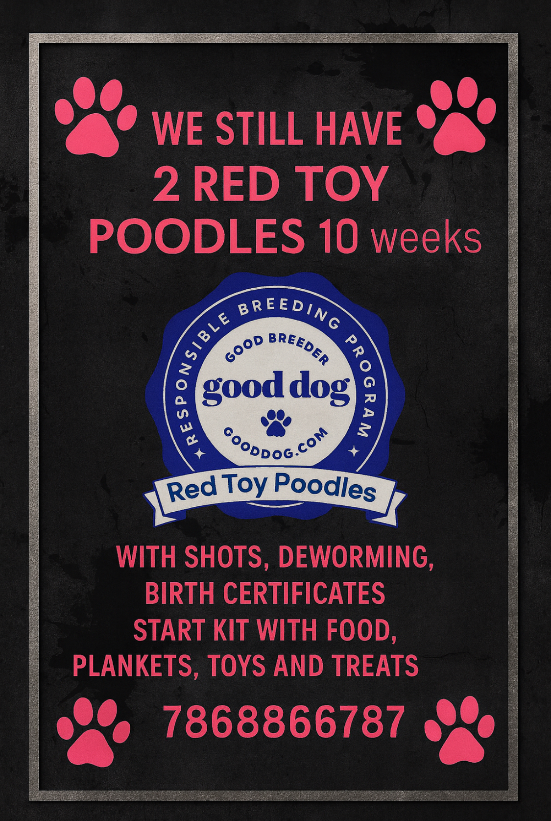 advert image