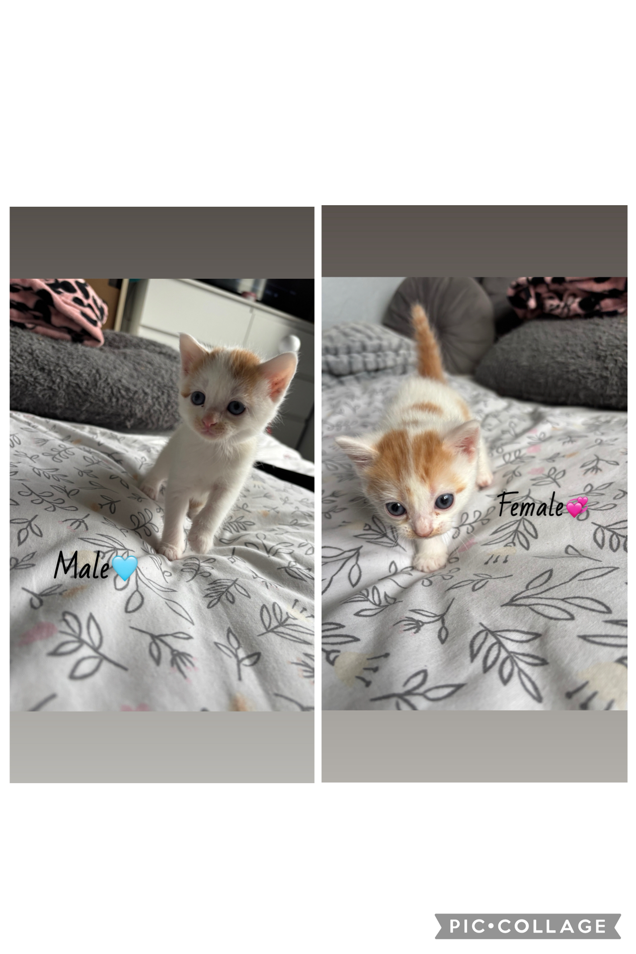 advert image