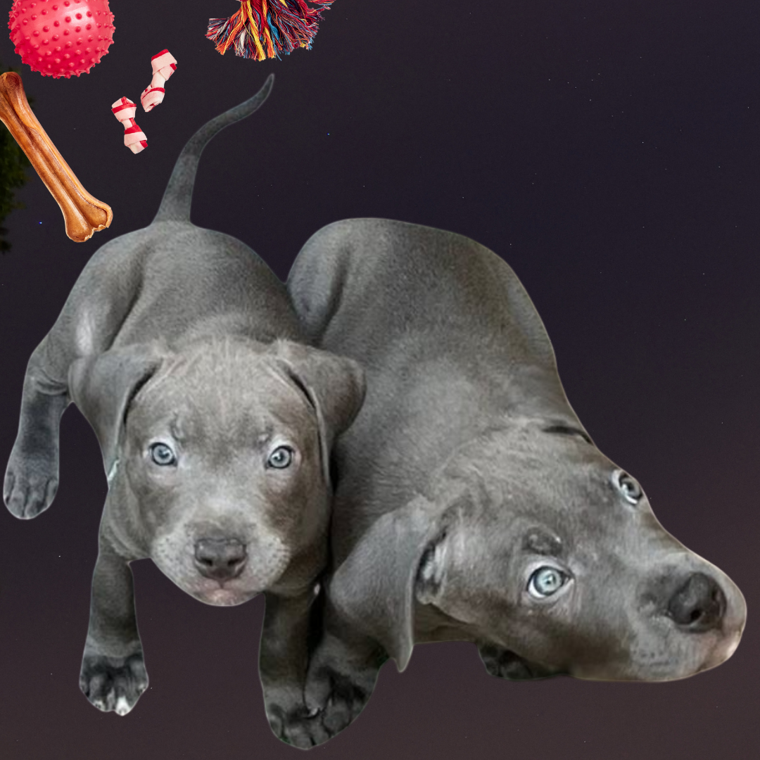 advert image