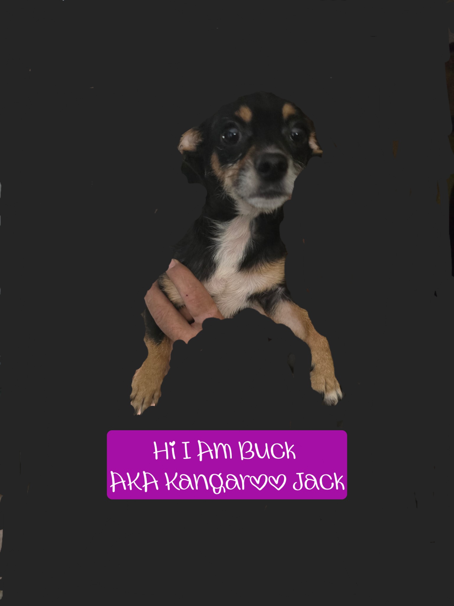 advert image