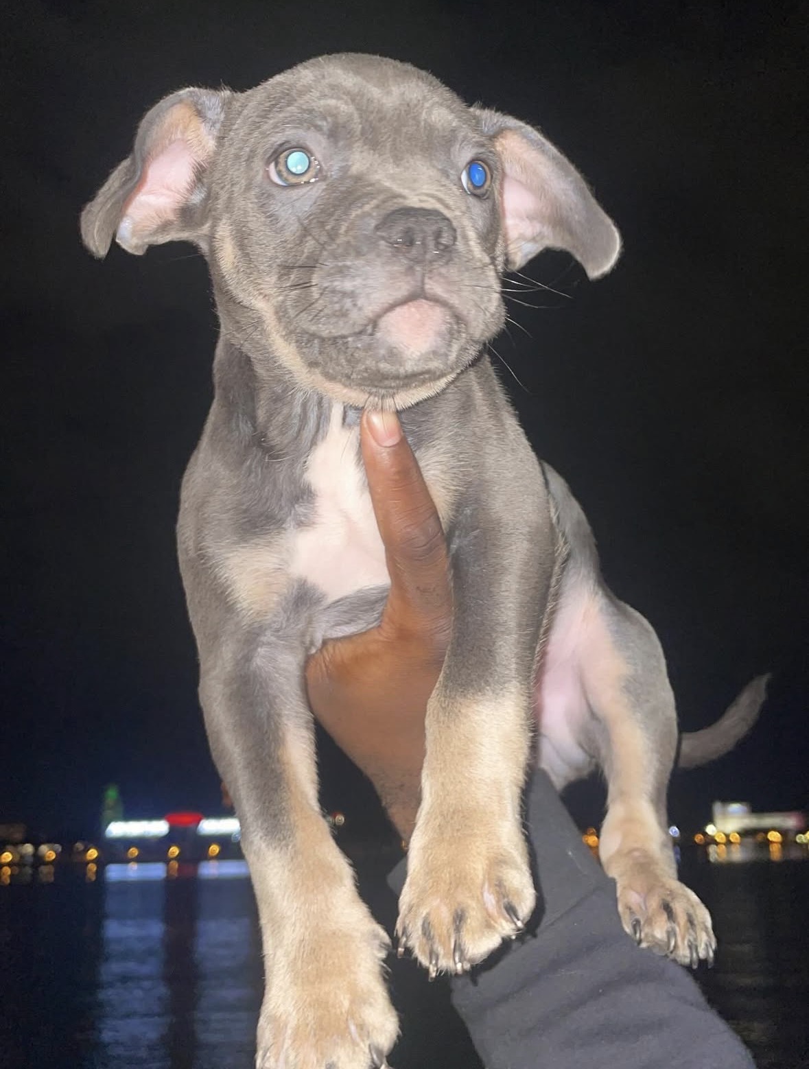 advert image
