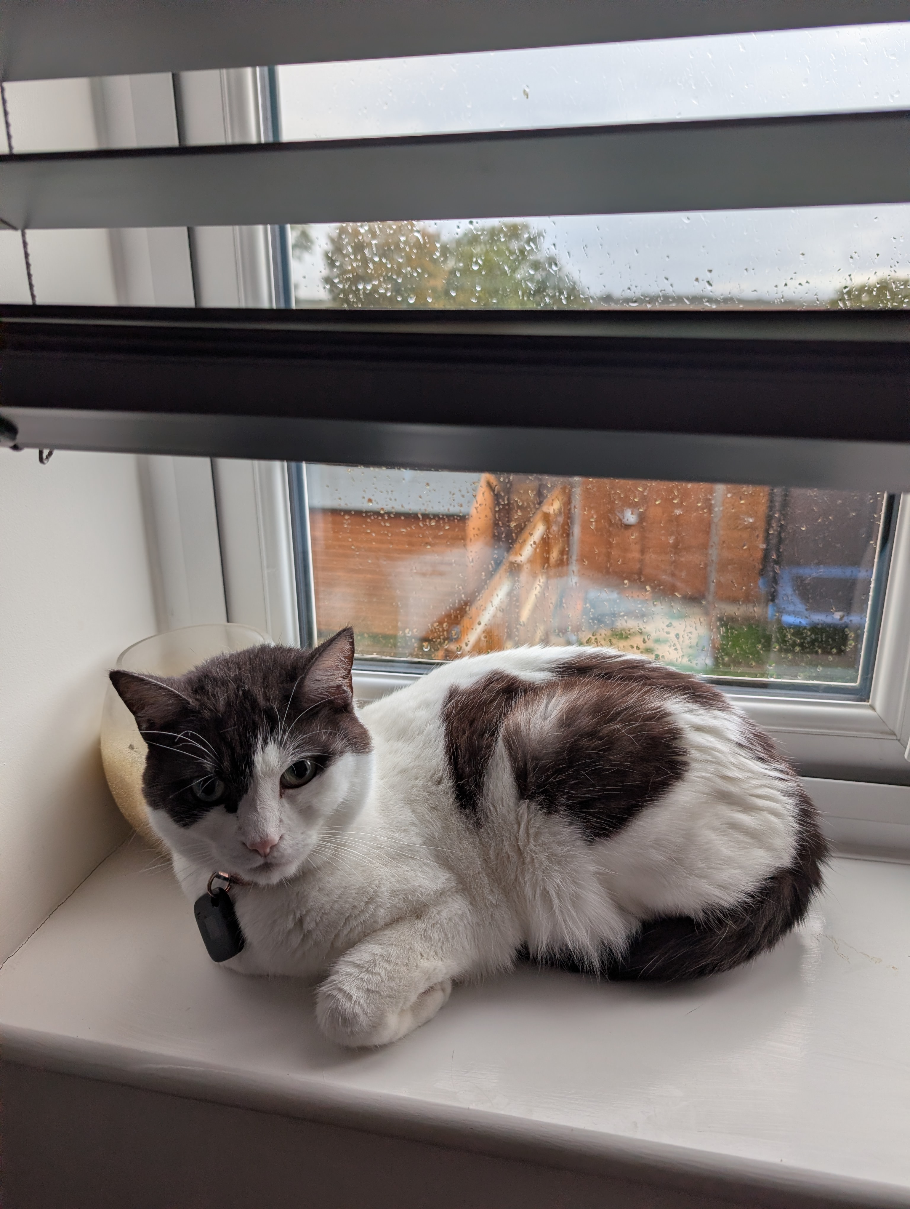 advert image