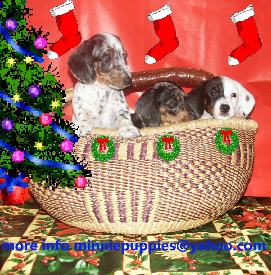 advert image