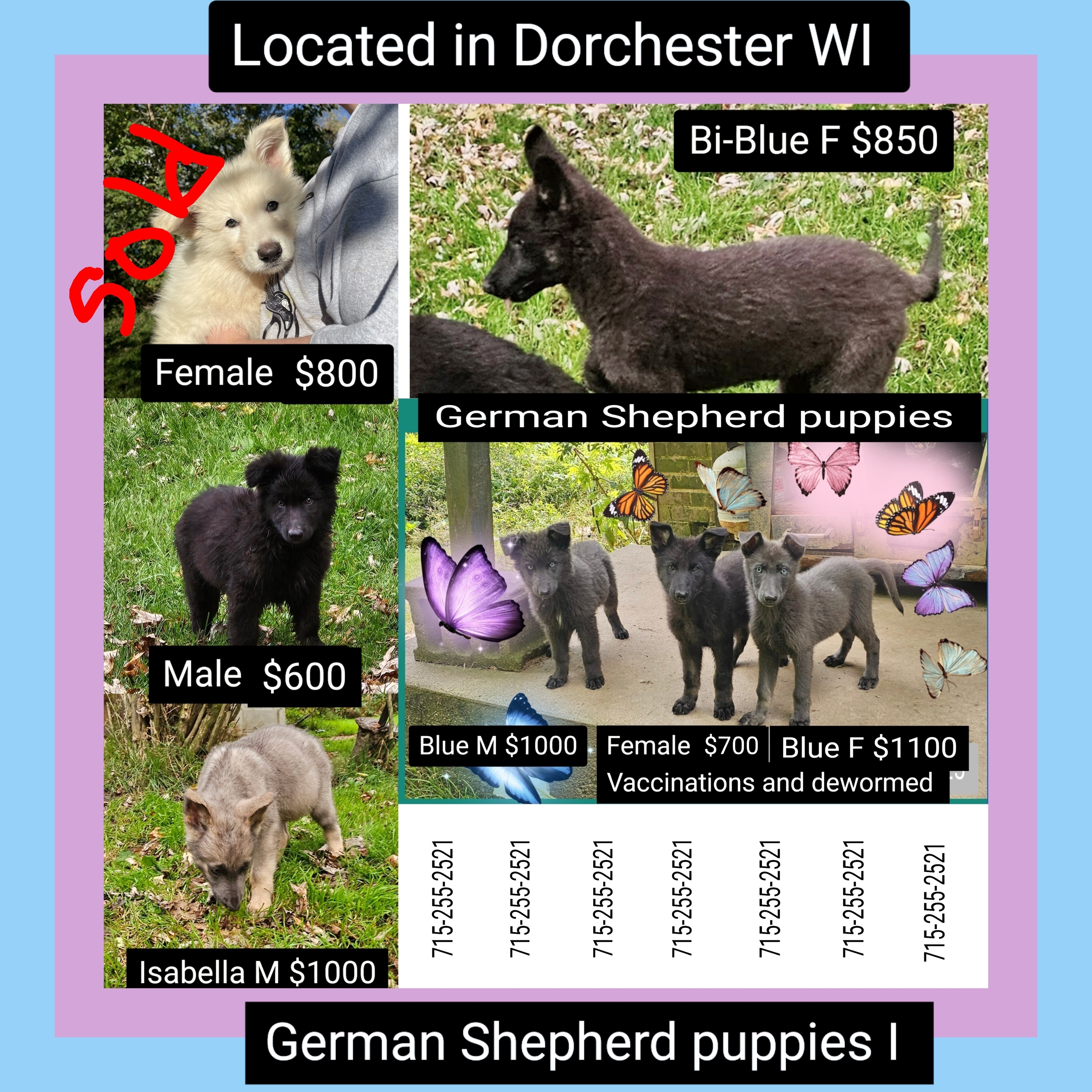 advert image