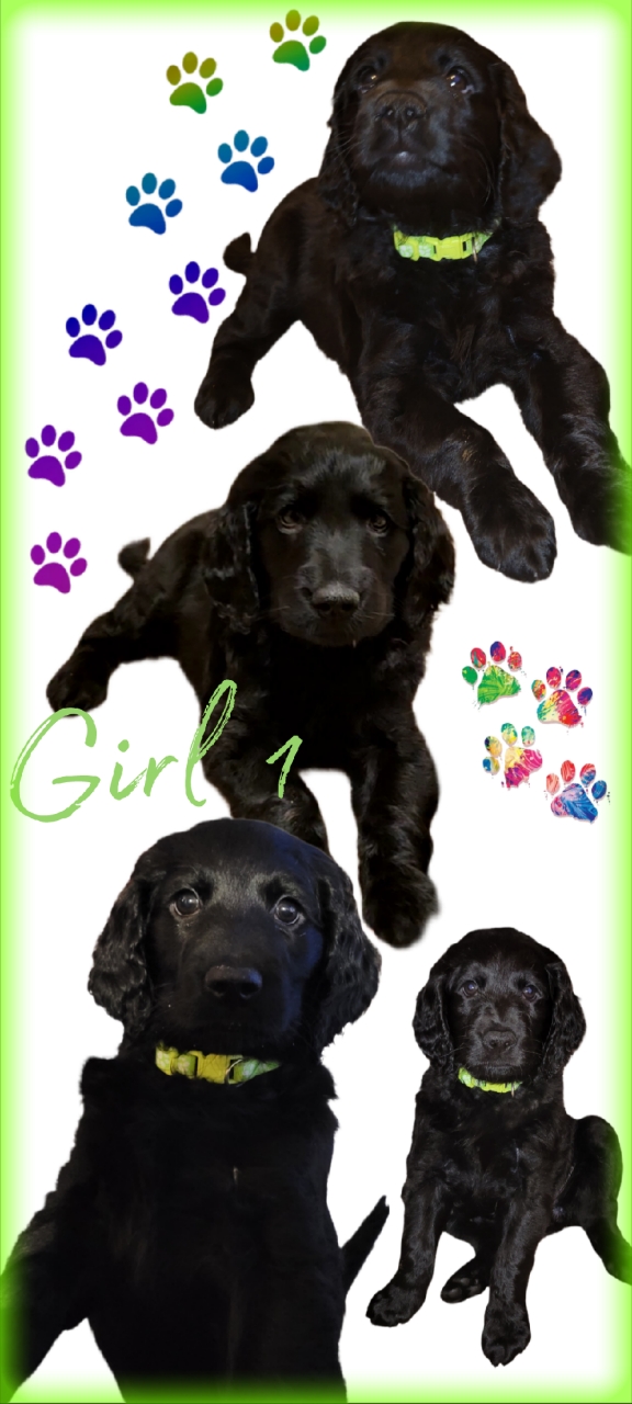 advert image