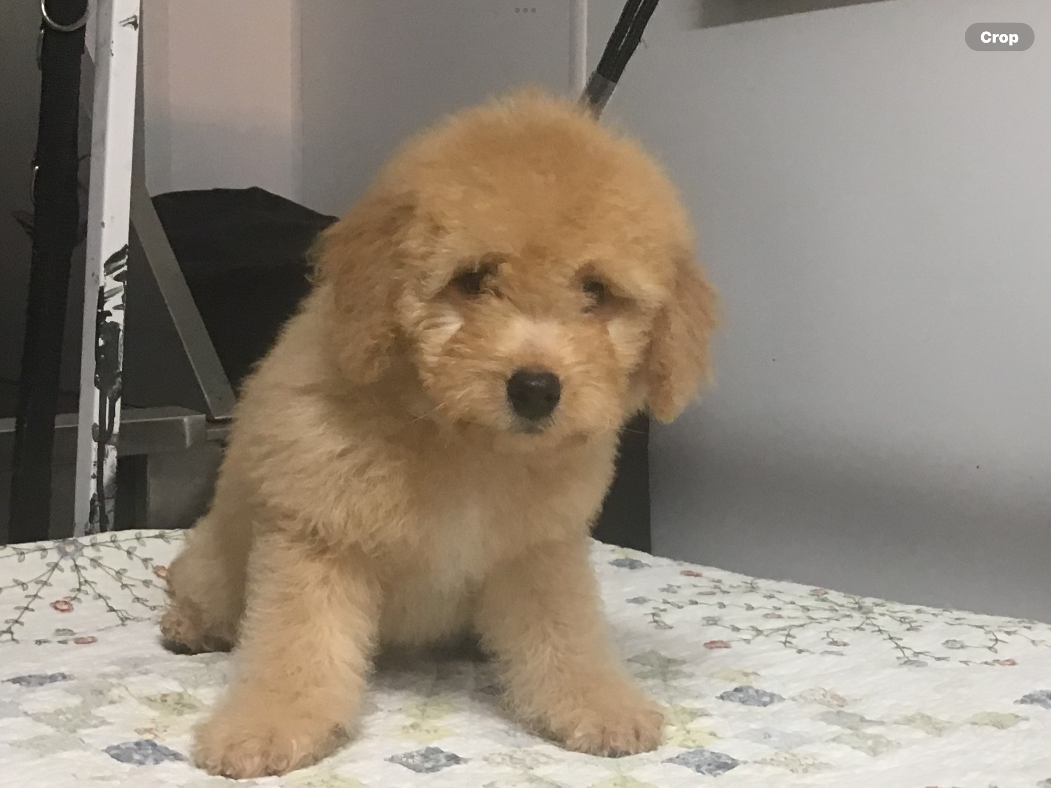 advert image