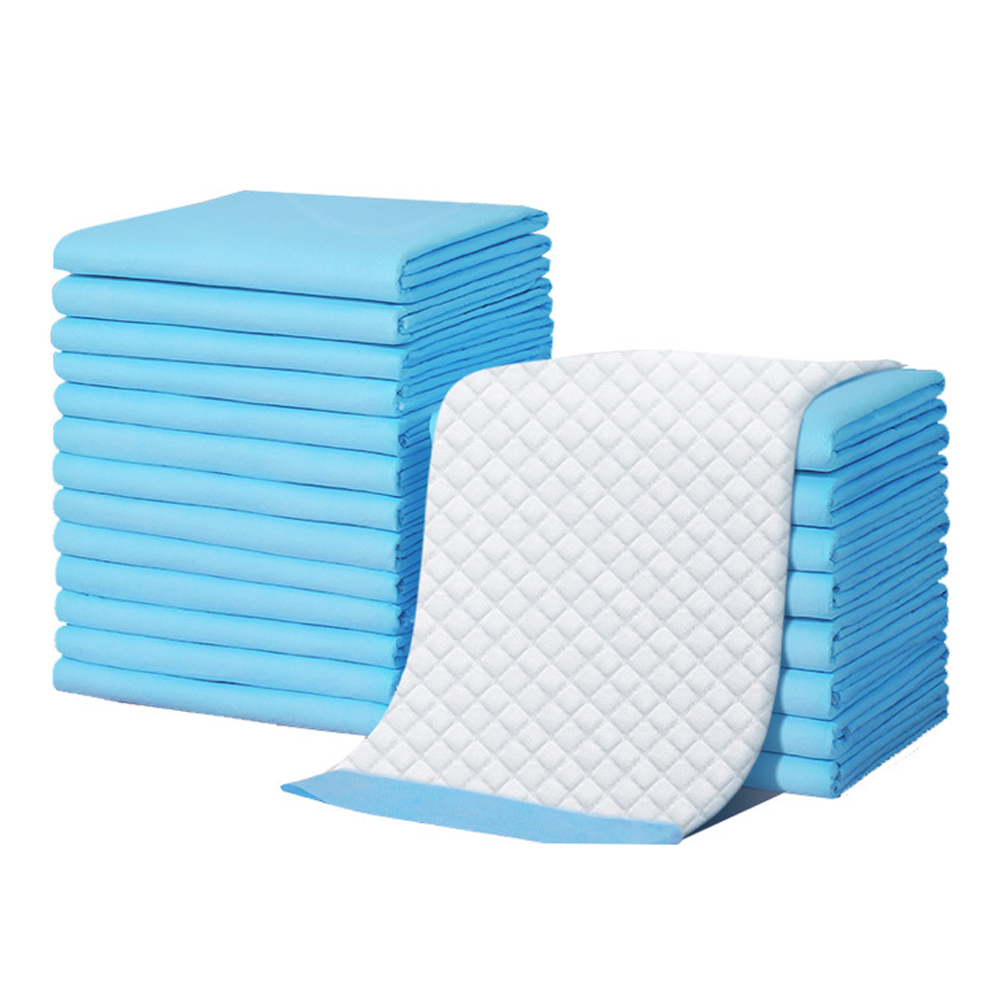 Pet Training Pads Puppy Toilet Potty Mat Indoor Dog Cat Pad 60X60cm Absorbent Blue-400pcs