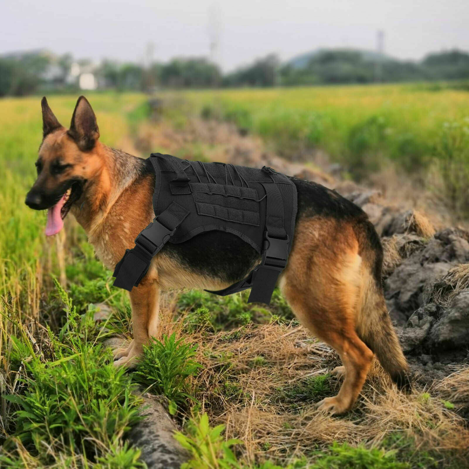 No-pull Dog Harness Pet Puppy Large Dog Vest Adjustable Padded Handle L Size AU-black