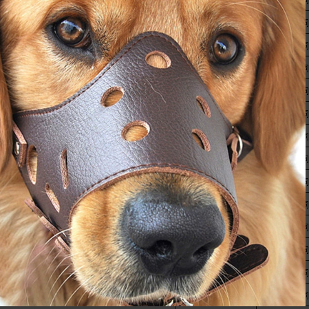 Dog Mouth Cover-XS-Black-1 piece