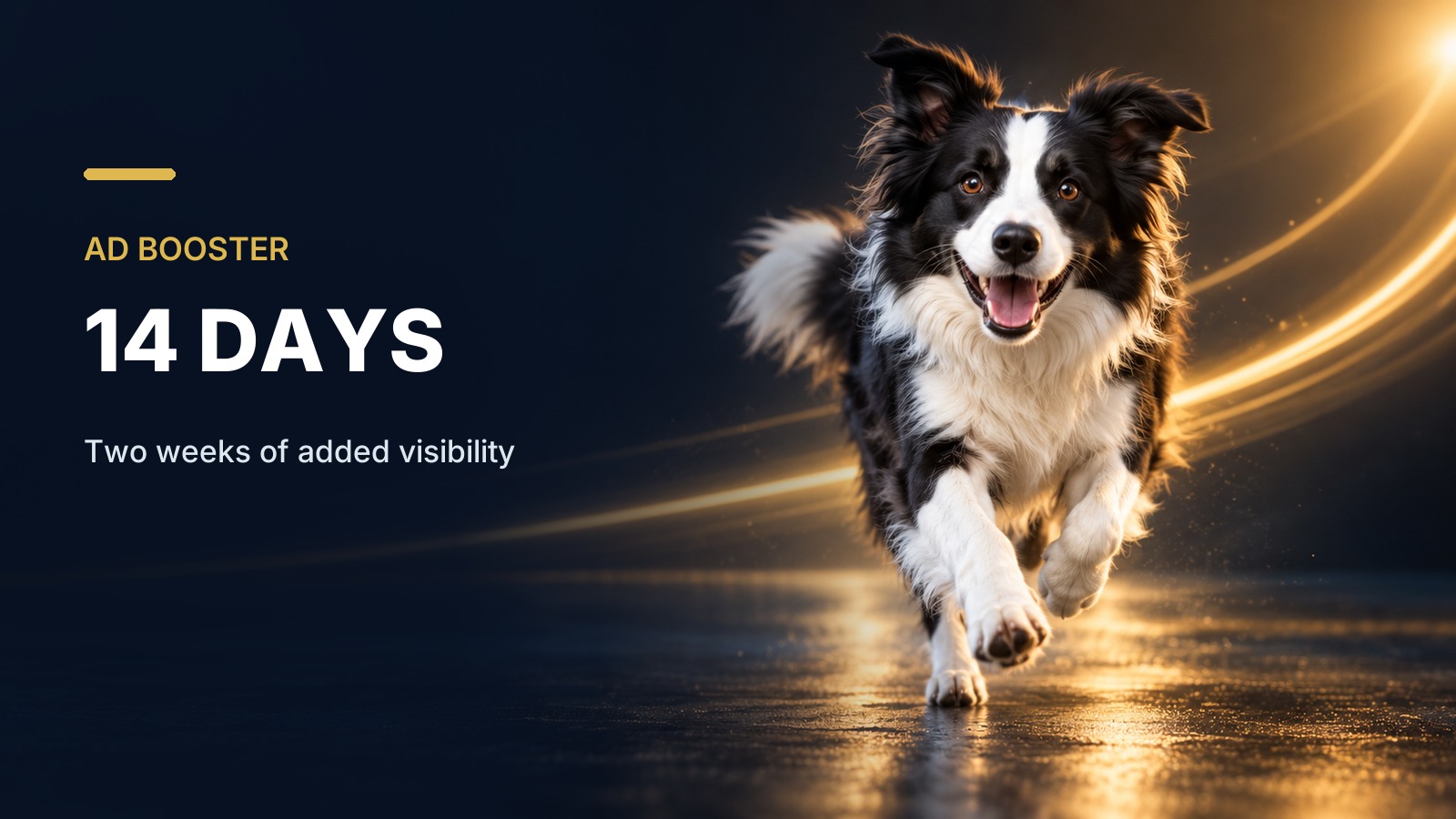 Ad Booster - 14 Days