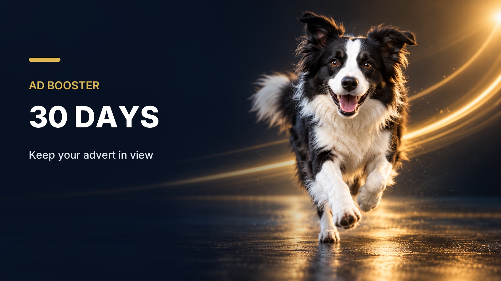 Ad Booster - 30 Days