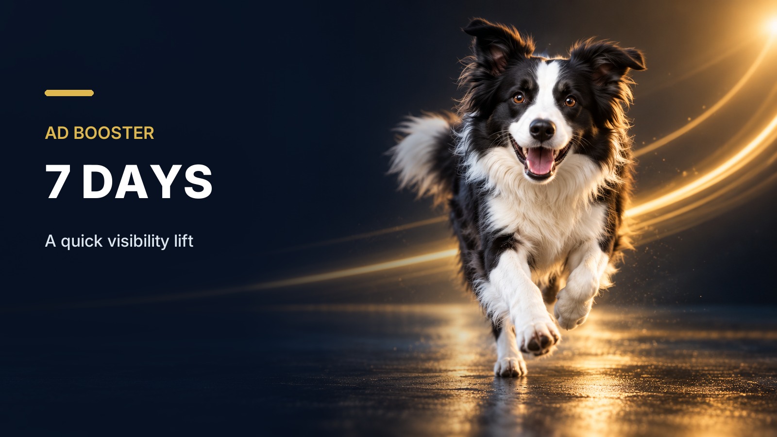 Ad Booster - 7 Days